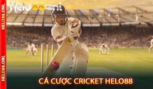 Cá Cược Cricket