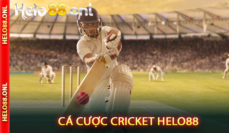 Cá Cược Cricket